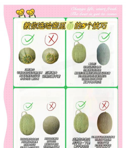 哈密瓜栽培，选对品种，掌握关键技巧