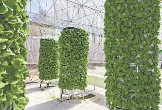 立柱式气雾栽培，高效种植新法，轻松管理省空间