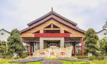 草果栽培，掌握关键技巧，实现高产稳收