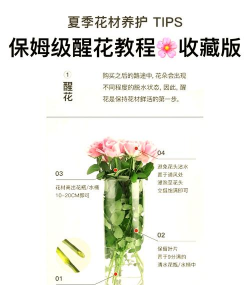 草果栽培，掌握关键技巧，实现高产稳收