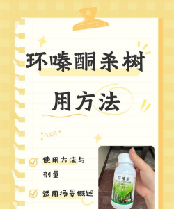法桐树药物防治,常见问题解析,实用操作指南 法桐树药物防治,常见问题解析,实用操作指南