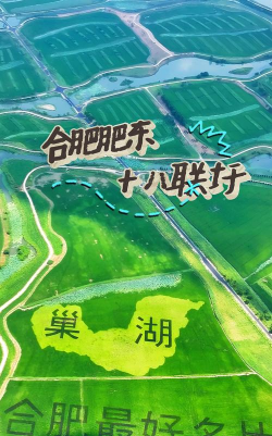 桑椹树病虫防治方法，常见问题解析，实用应对技巧