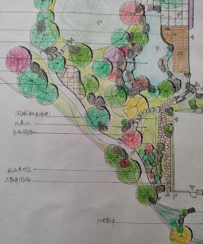 紫荆树白蚁怎么防治，找准方法，避免树木受损