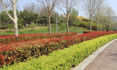 太原绿化灌溉设计,提升城市绿化效果,节约水资源成本 太原绿化灌溉设计,提升城市绿化效果,节约水资源成本