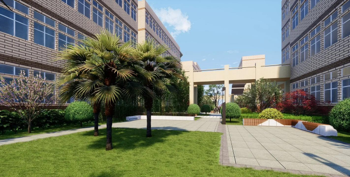 罗汉松的栽培，选对方法，轻松上手