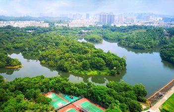 龙岗科学绿化设计，提升城市生态，优化人居环境