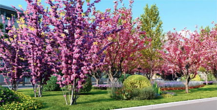 孜子花怎么养，新手入门指南，轻松掌握养护技巧