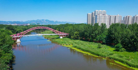 秦皇岛附近绿化设计，提升城市形象，改善居住环境