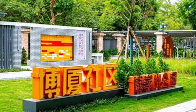 孜子花怎么养，新手入门指南，轻松掌握养护技巧