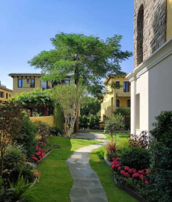 孜子花怎么养，新手入门指南，轻松掌握养护技巧