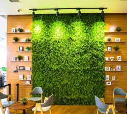 孜子花怎么养，新手入门指南，轻松掌握养护技巧