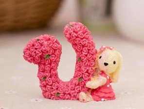 孜子花怎么养，新手入门指南，轻松掌握养护技巧