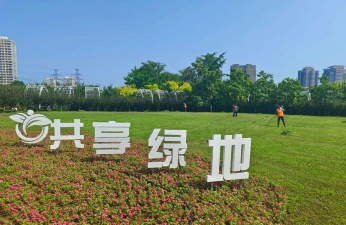 孜子花怎么养，新手入门指南，轻松掌握养护技巧