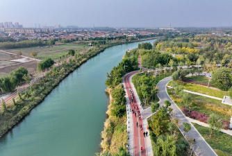 孜子花怎么养，新手入门指南，轻松掌握养护技巧