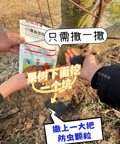 无土栽培有什么优点，了解核心价值，掌握实用技巧