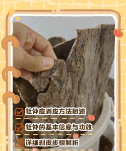 无土栽培有什么优点，了解核心价值，掌握实用技巧