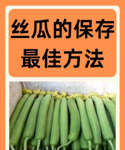 冬天怎么保存丝瓜