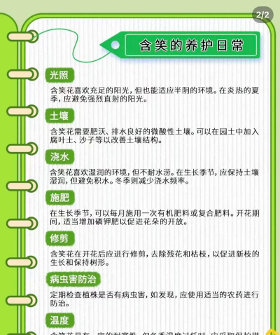 桑椹树病虫防治方法，常见问题解析，实用应对技巧