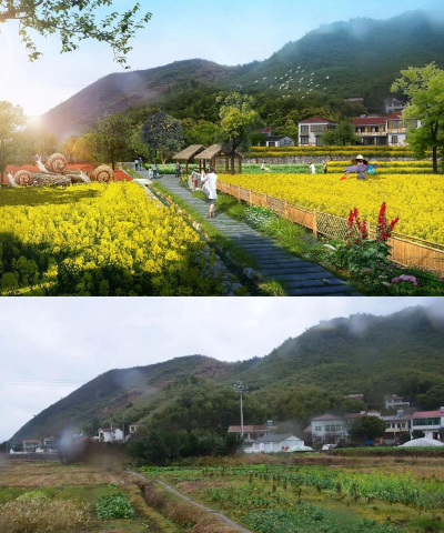 桑椹树病虫防治方法，常见问题解析，实用应对技巧