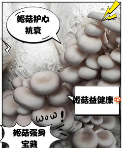 桑椹树病虫防治方法，常见问题解析，实用应对技巧