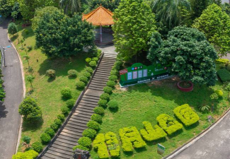 桑椹树病虫防治方法，常见问题解析，实用应对技巧