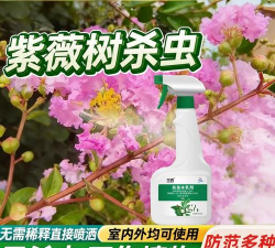 紫薇树防治蚂蚁,常见问题解析,实用方法分享 紫薇树防治蚂蚁,常见问题解析,实用方法分享