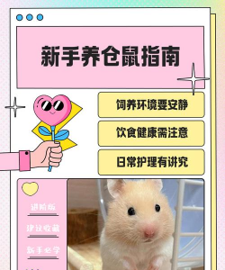 火鹤花怎么养仓鼠,常见误区解析,新手避坑指南 火鹤花怎么养仓鼠,常见误区解析,新手避坑指南