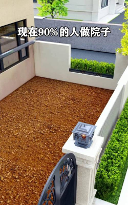 草果栽培，掌握关键技巧，实现高产稳收