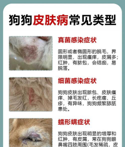 树狗子病防治,识别早期症状,采取有效方法 树狗子病防治,识别早期症状,采取有效方法