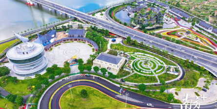 沉香树病害防治方法，识别常见病害，掌握有效应对措施