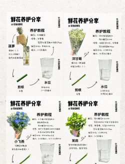 沉香树病害防治方法，识别常见病害，掌握有效应对措施