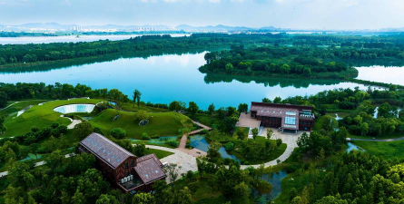 桑椹树病虫防治方法，常见问题解析，实用应对技巧