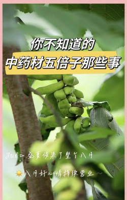 沉香树病害防治方法，识别常见病害，掌握有效应对措施