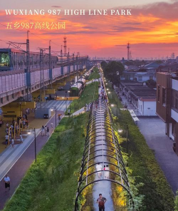 桑椹树病虫防治方法，常见问题解析，实用应对技巧