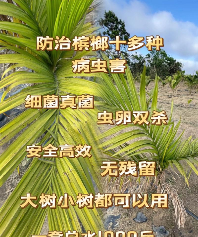 桑椹树病虫防治方法，常见问题解析，实用应对技巧