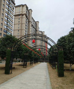 树腐烂病防治，识别早期症状，掌握有效方法