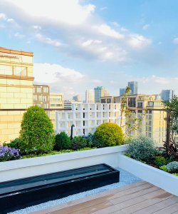 树腐烂病防治，识别早期症状，掌握有效方法