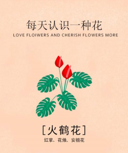 树腐烂病防治，识别早期症状，掌握有效方法