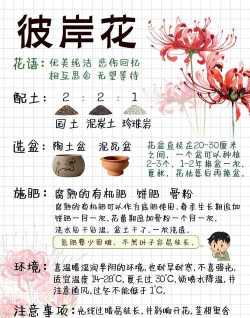 桑椹树病虫防治方法，常见问题解析，实用应对技巧