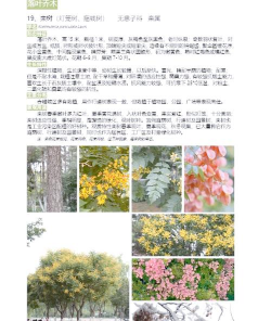 台湾栾树防治，常见问题解析，实用方法分享