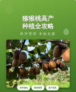 桑椹树病虫防治方法，常见问题解析，实用应对技巧