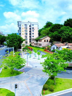 桑椹树病虫防治方法，常见问题解析，实用应对技巧