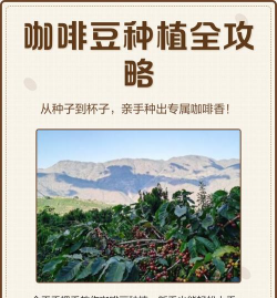 桑椹树病虫防治方法，常见问题解析，实用应对技巧