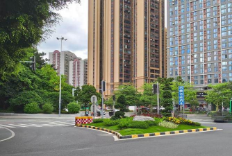 桑椹树病虫防治方法，常见问题解析，实用应对技巧