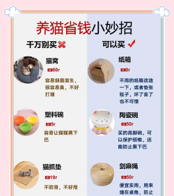 猫猫栽培2,新手入门指南,轻松上手技巧 猫猫栽培2,新手入门指南,轻松上手技巧