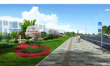 草果栽培，掌握关键技巧，实现高产稳收