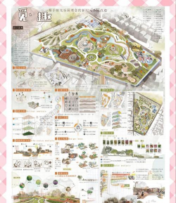 草果栽培，掌握关键技巧，实现高产稳收