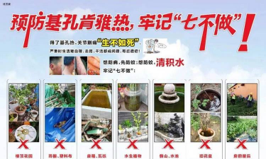 草果栽培，掌握关键技巧，实现高产稳收