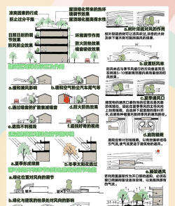 甜玉米栽培技术要点，选种育苗，田间管理