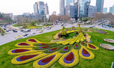 山东创意立体绿化设计,提升城市颜值,打造生态空间 山东创意立体绿化设计,提升城市颜值,打造生态空间